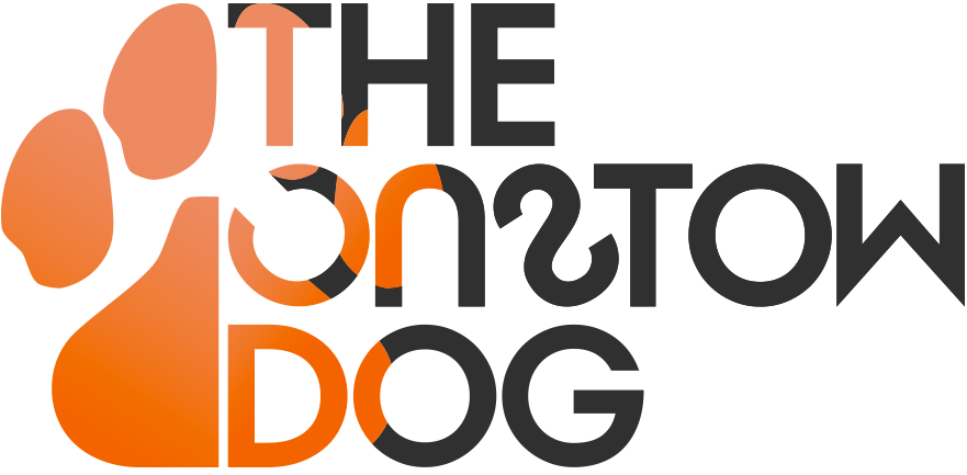 The Custom Dog